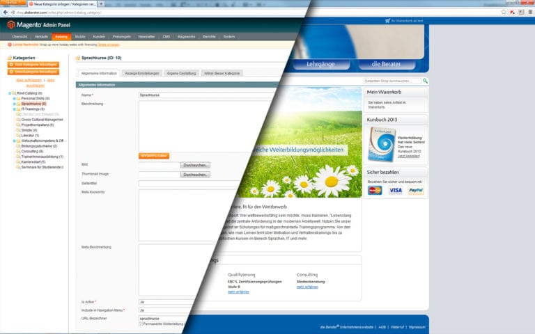 dieberater_cms_magento