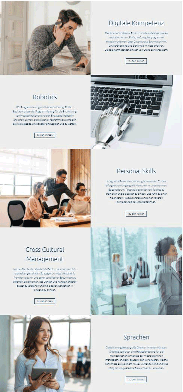 dieBerater-Online-Shop-Kurs